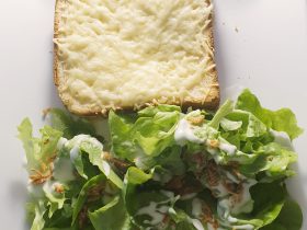 croque monsieur